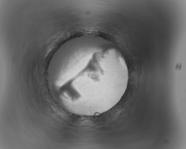 X0000111600913200908061410