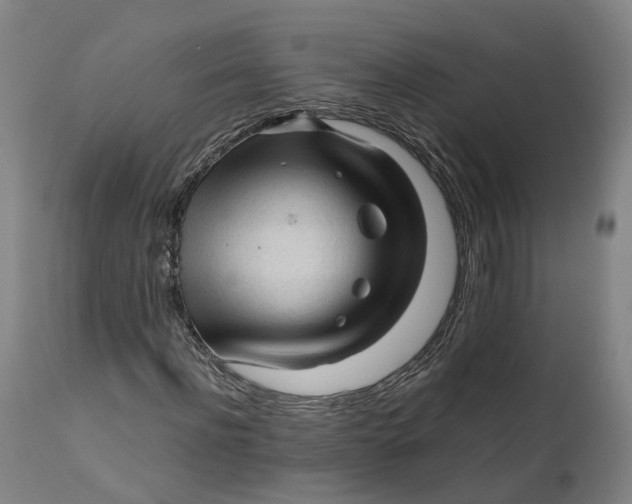 X0000111600916200908061410