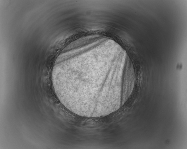 X0000111600917200908061410