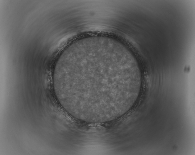 X0000111600918200908061410