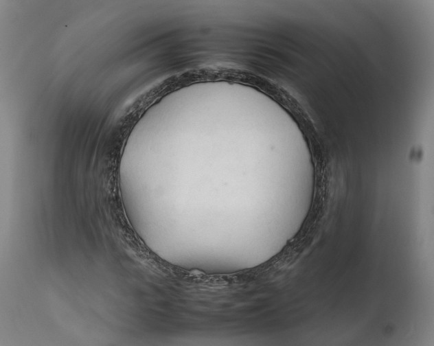 X0000111600919200908061410