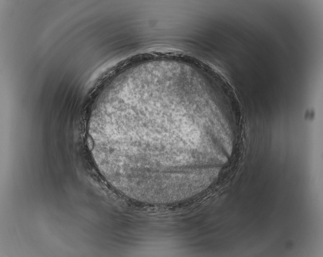 X0000111600920200908061410