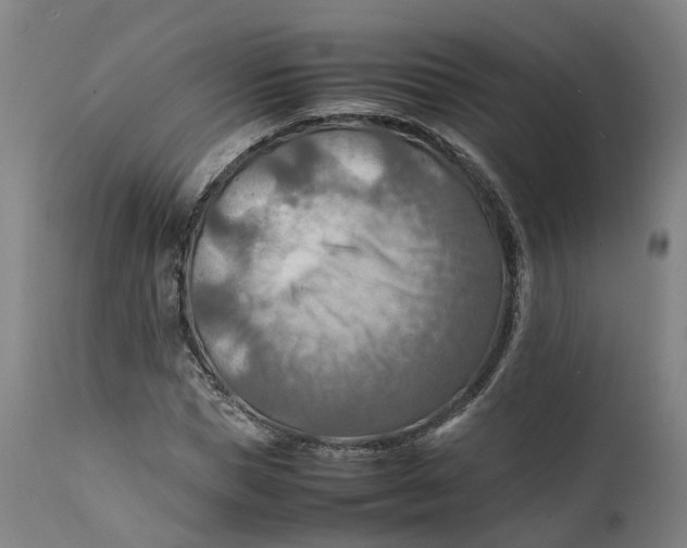 X0000111600921200908061410