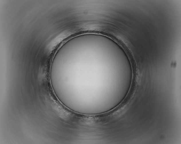 X0000111600922200908061410