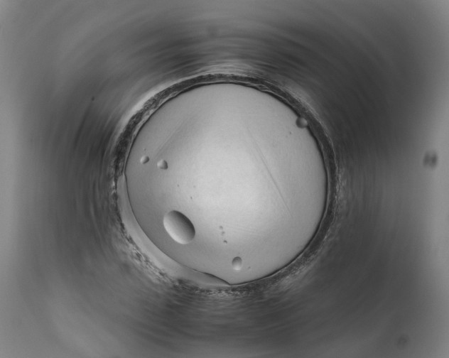 X0000111600923200908061410