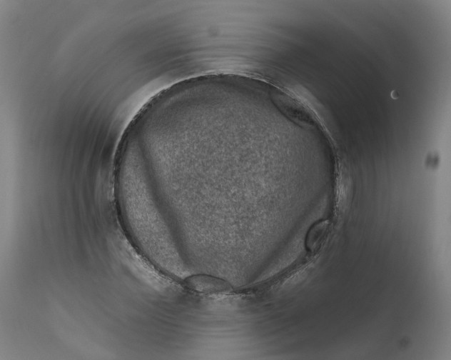 X0000111600924200908061410