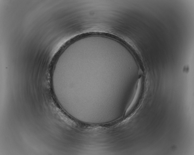 X0000111600926200908061410