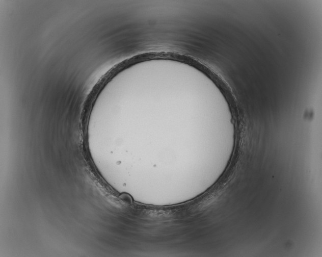 X0000111600927200908061410