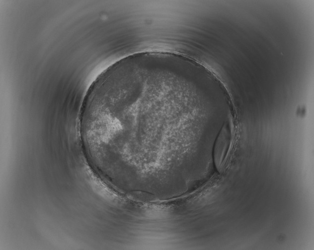 X0000111600928200908061410