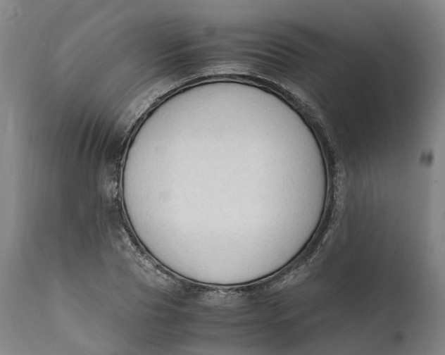 X0000111600929200908061410