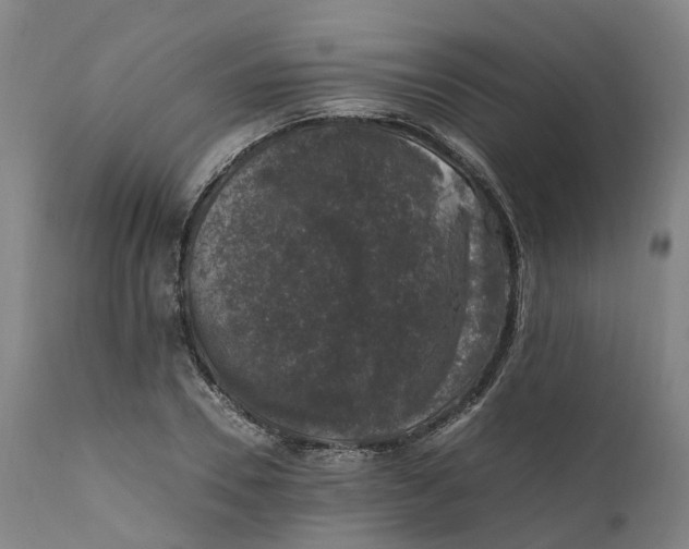 X0000111600930200908061410