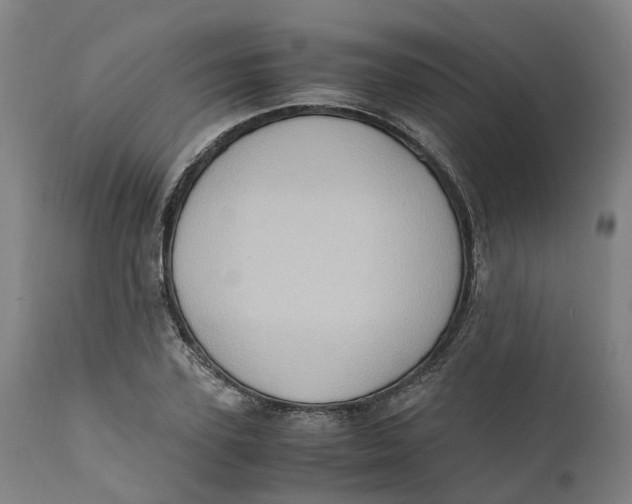 X0000111600931200908061410