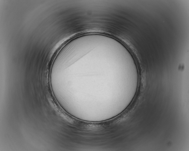 X0000111600933200908061410