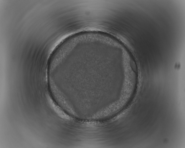 X0000111600934200908061410