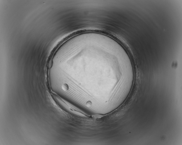 X0000111600935200908061410