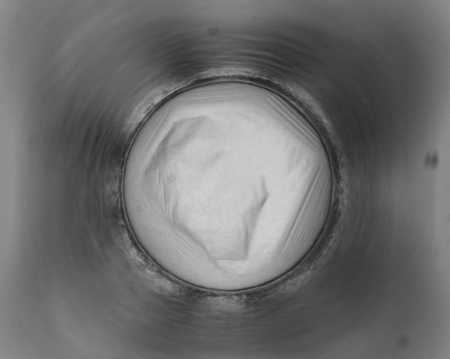 X0000111600937200908061410