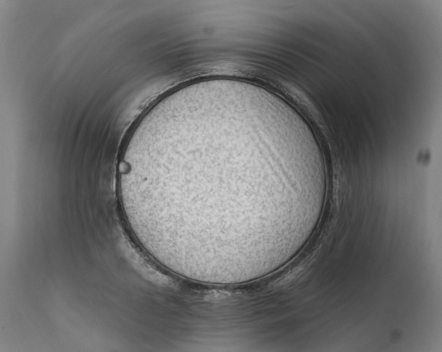 X0000111600938200908061410