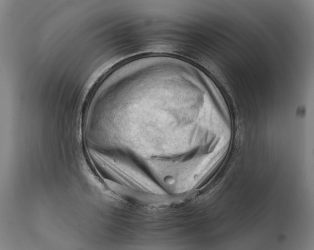X0000111600939200908061411