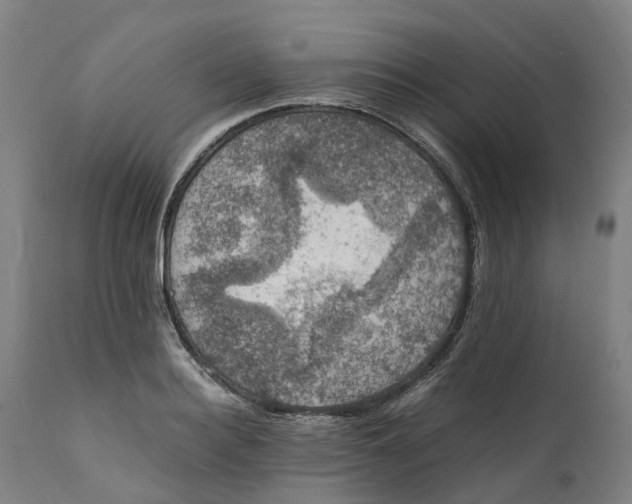 X0000111600940200908061411