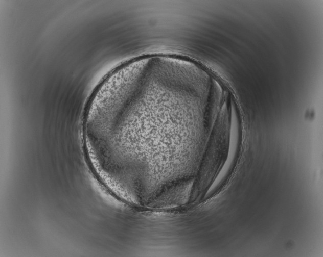 X0000111600942200908061411