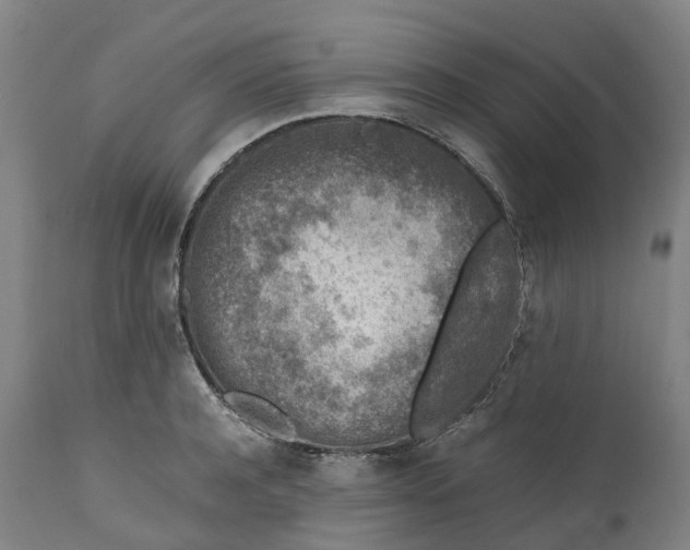 X0000111600944200908061411