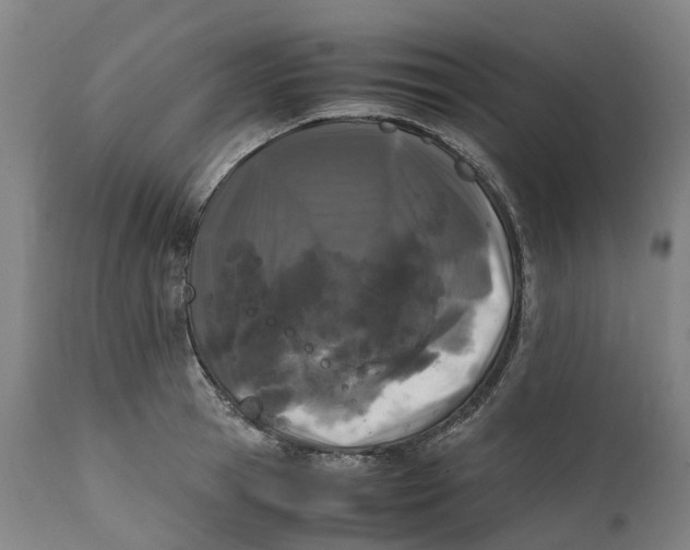 X0000111600945200908061411