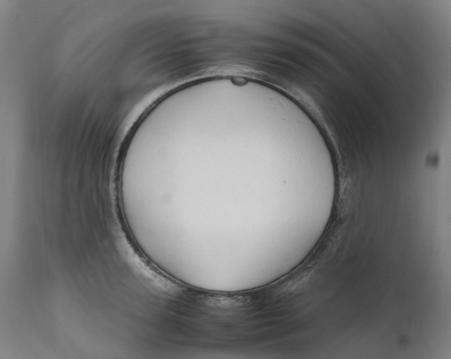 X0000111600947200908061411