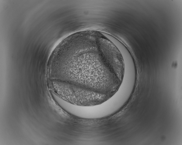 X0000111600948200908061411