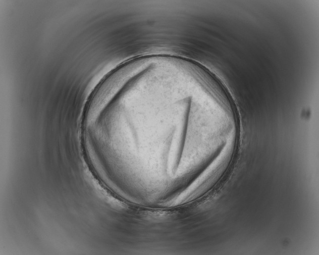 X0000111600949200908061411