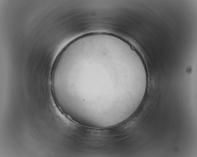 X0000111600951200908061411