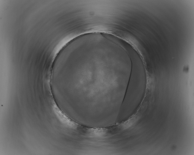 X0000111600952200908061411