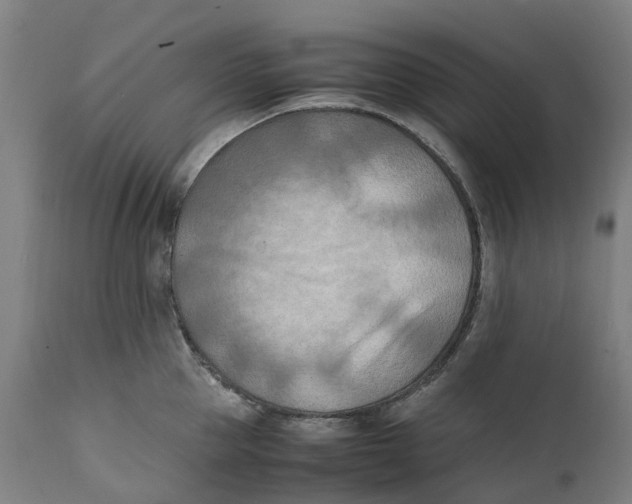 X0000111600953200908061411
