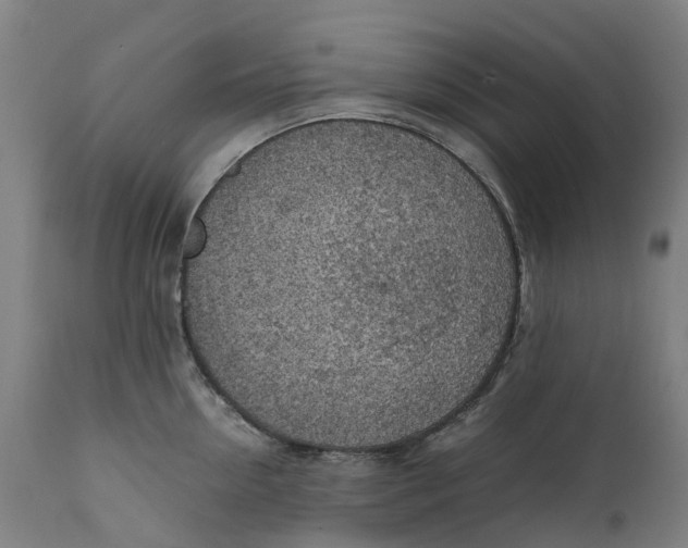 X0000111600954200908061411
