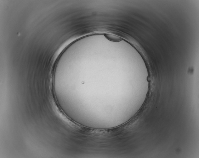 X0000111600955200908061411