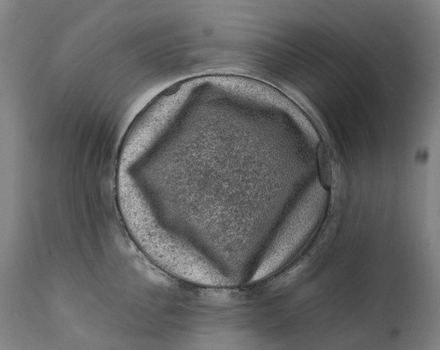 X0000111600956200908061411