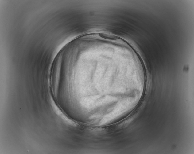 X0000111600957200908061411
