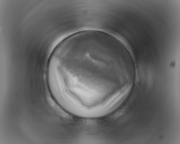 X0000111600958200908061411