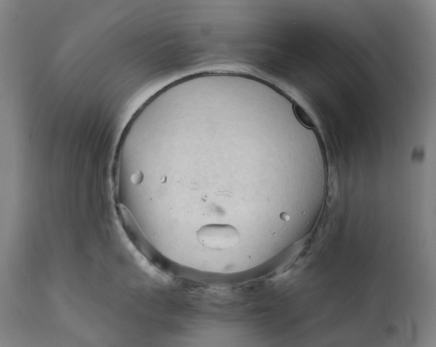 X0000111600959200908061411