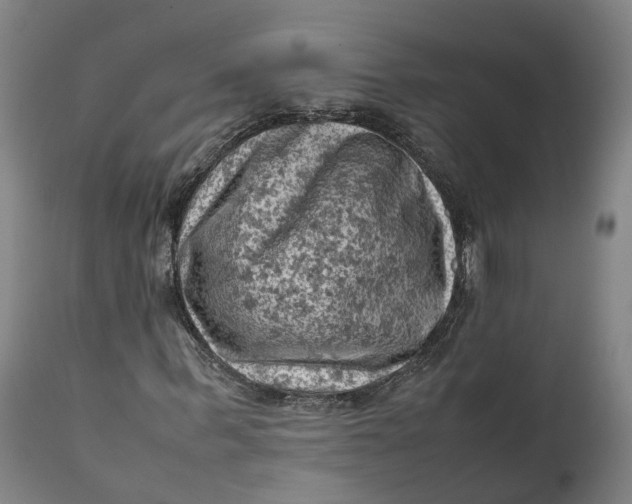 X0000111600963200908061410