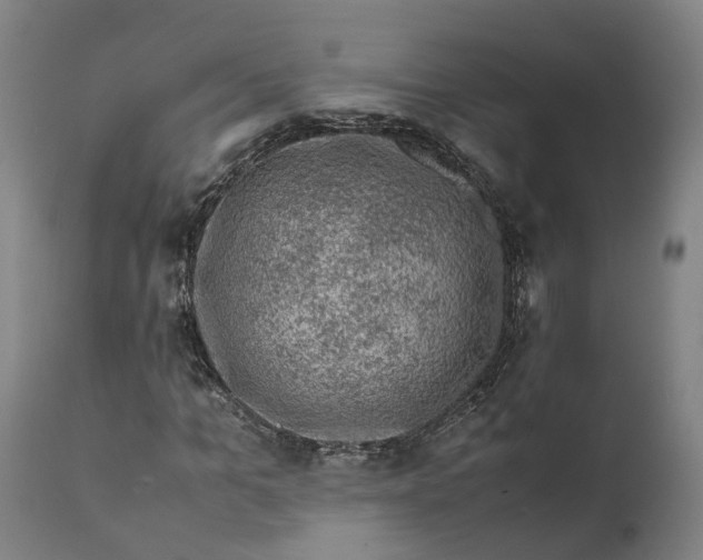 X0000111600965200908061410