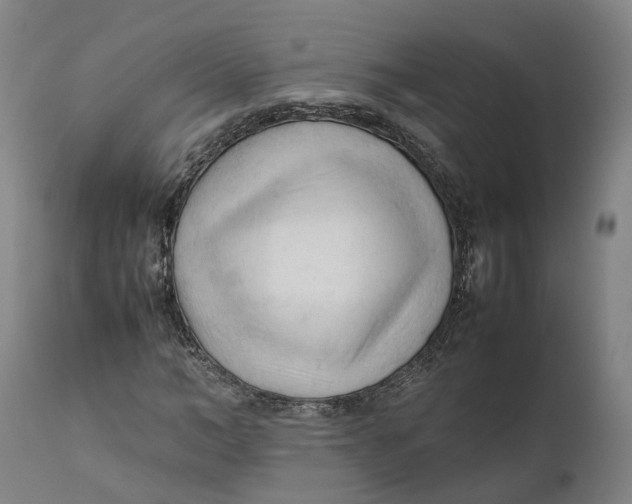 X0000111600966200908061410