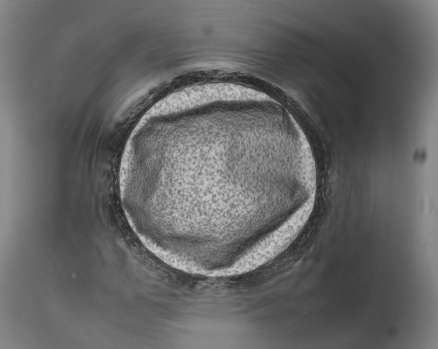 X0000111600967200908061410