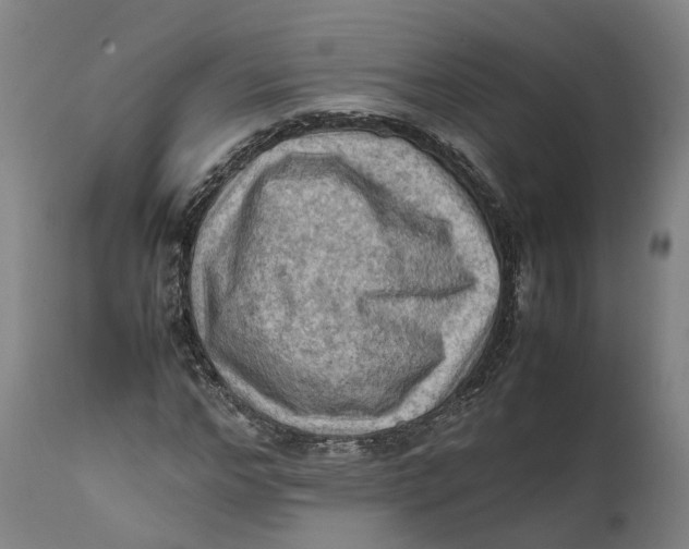 X0000111600968200908061410