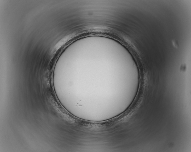 X0000111600970200908061410