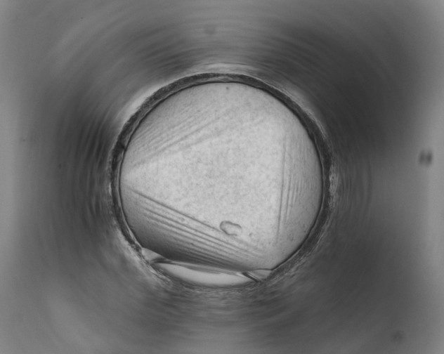 X0000111600972200908061410