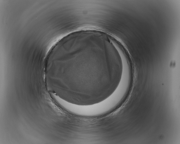 X0000111600973200908061410
