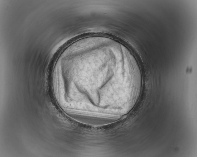 X0000111600975200908061410