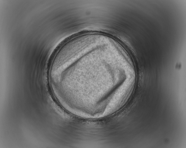 X0000111600976200908061410