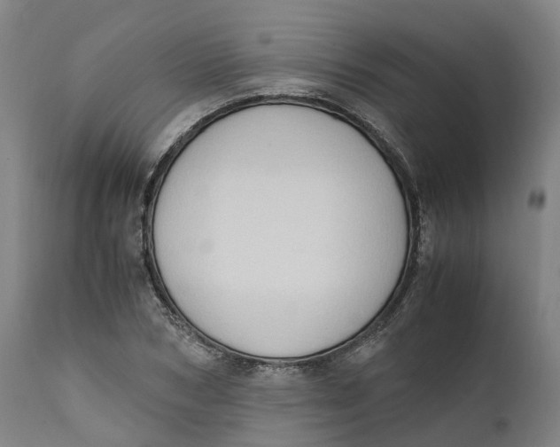 X0000111600978200908061410