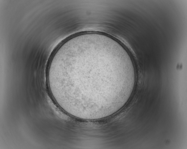 X0000111600980200908061410